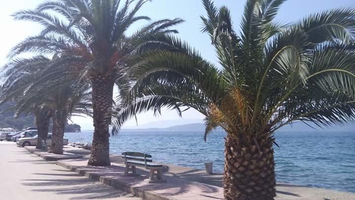 Riva Apartments Živogošće Buitenkant foto